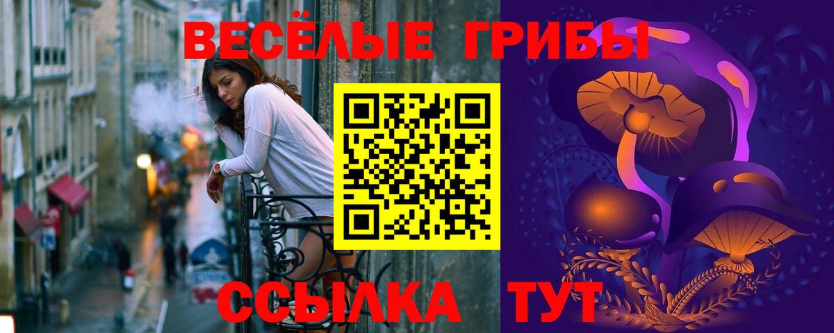 Чехов  Галлюциногенные грибы Cubensis  Вход с VPN 